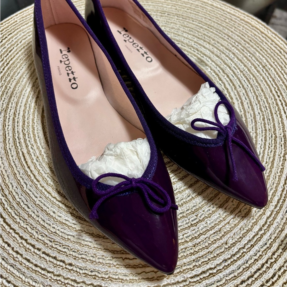 Repetto pointy toe Ballet Flats